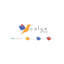 Calys Groupe